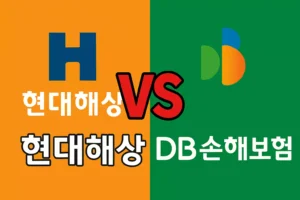 현대해상 vs DB손해보험 여행자보험, 뭐가 다를까?